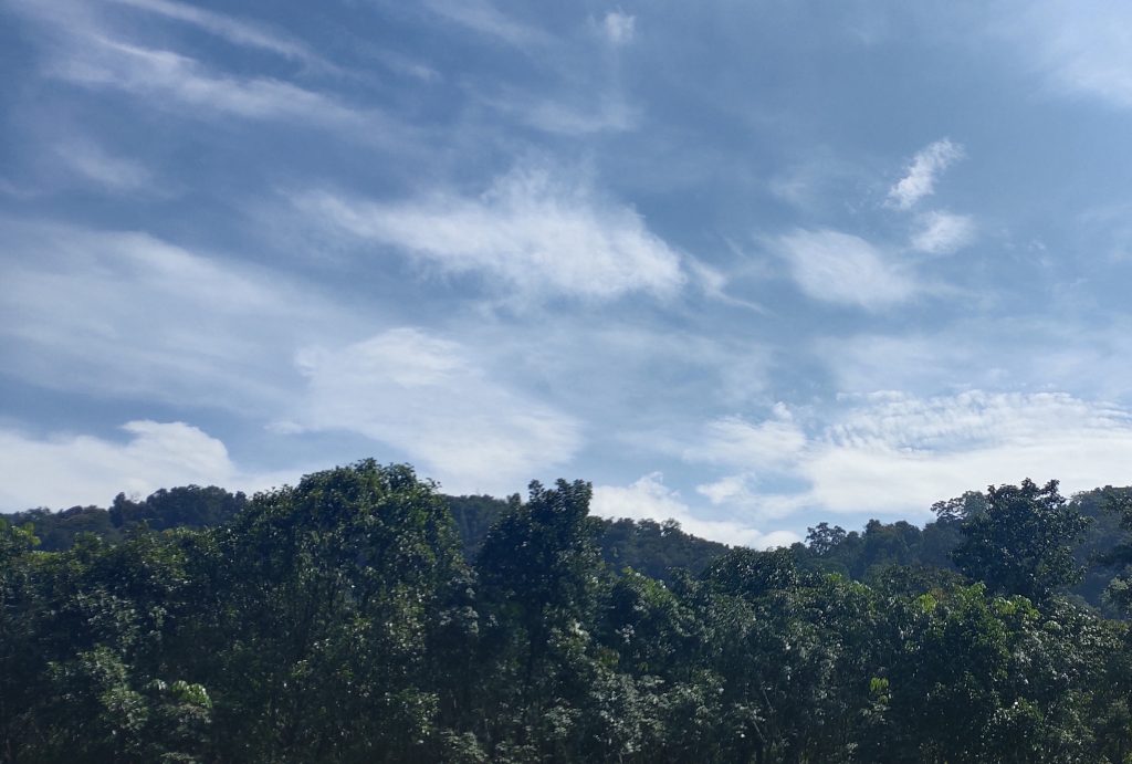 Vadattupara Travel Guide 2026