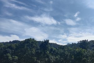 Vadattupara Travel Guide 2026