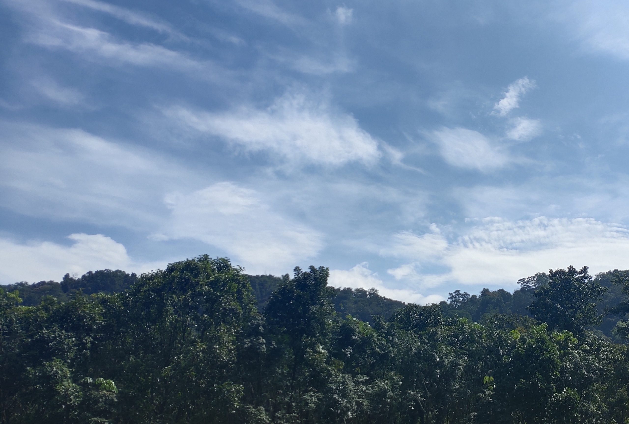 Vadattupara Travel Guide 2026