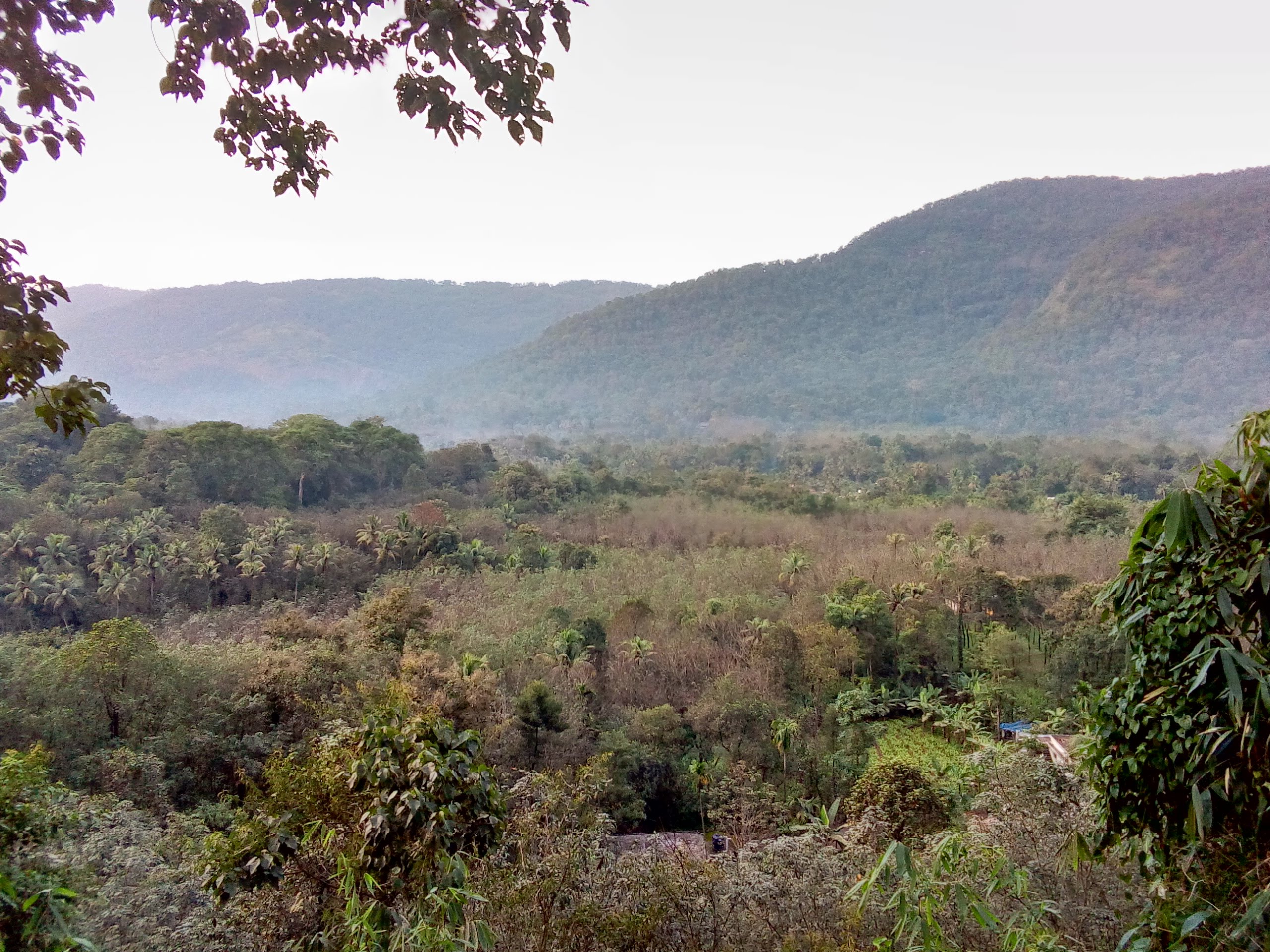tourist places near vadattupara