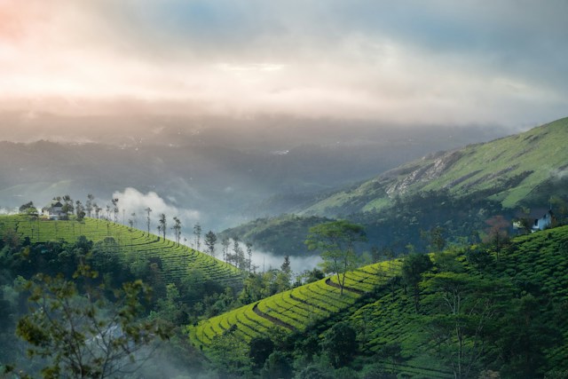Vadattupara to Vagamon Distance, Route & Trip Plan